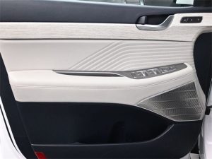 2023 Hyundai Palisade Calligraphy — thumbnail 14